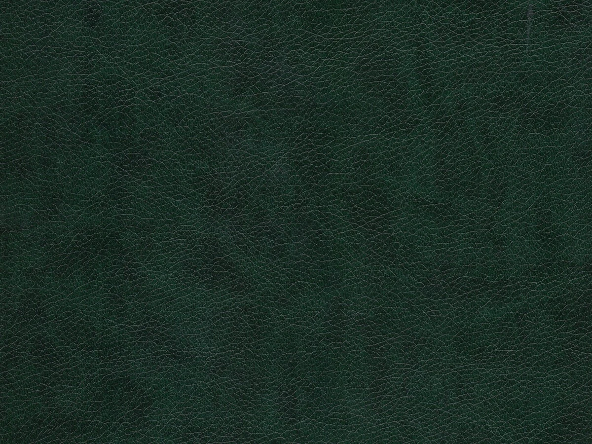 Rodeo (Родео) 04 Темно-зеленый 