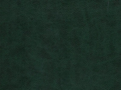 Rodeo (Родео) 04 Темно-зелений