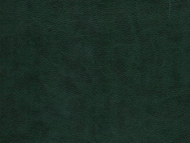 Rodeo (Родео) 04 Темно-зеленый 