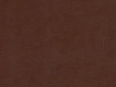 Rodeo (Родео) 05 Темно-коричневий