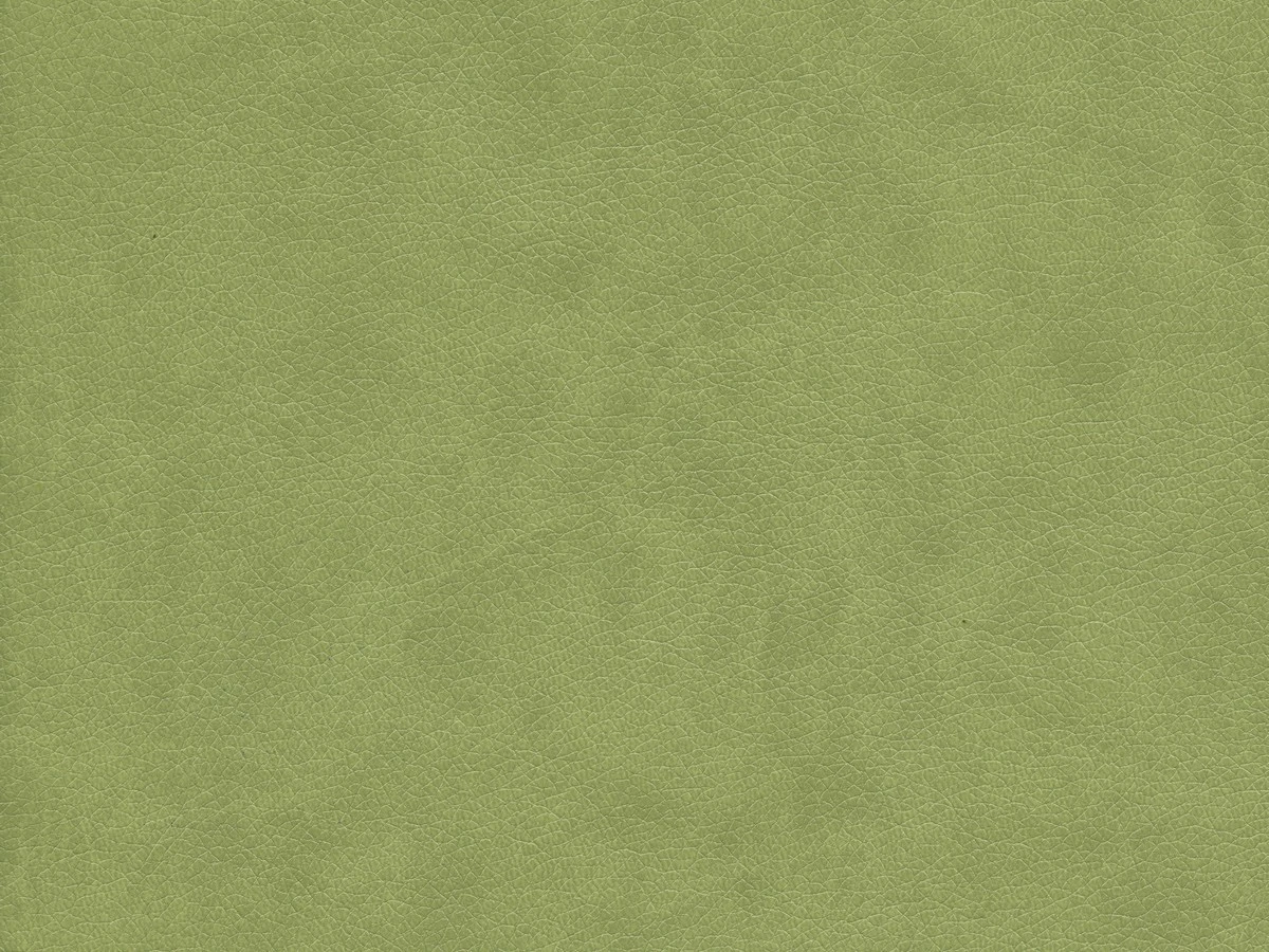 Rodeo (Родео) 09 Оливковий 