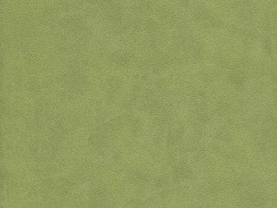 Rodeo (Родео) 09 Оливковий