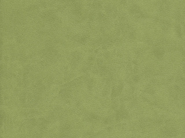 Rodeo (Родео) 09 Оливковий 