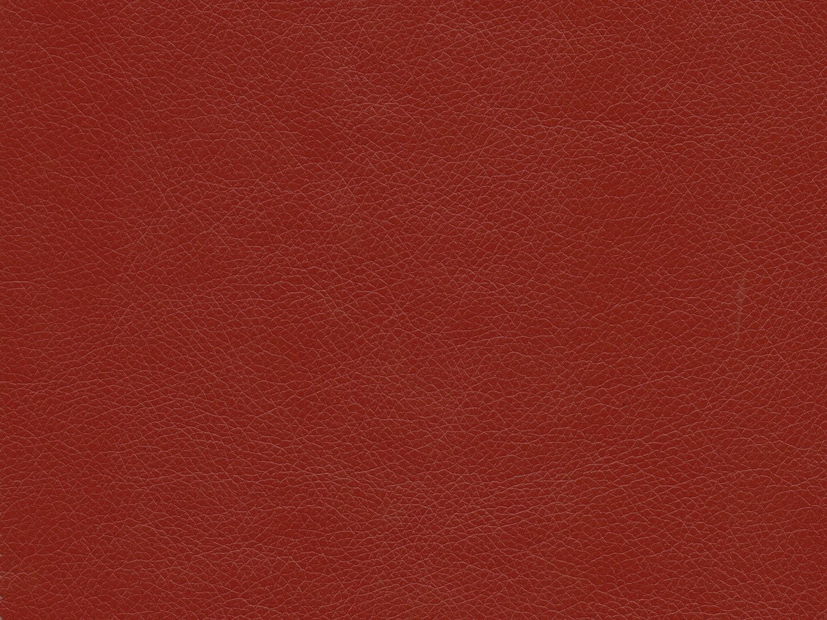 Rodeo (Родео) 11 Червоний 