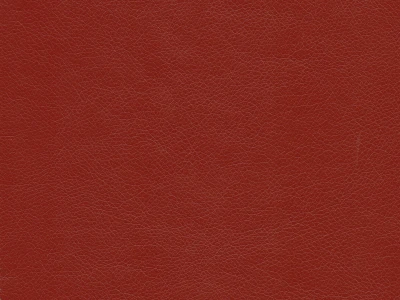 Rodeo (Родео) 11 Червоний