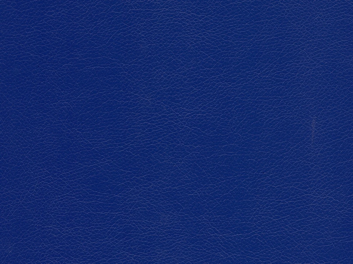 Rodeo (Родео) 12 Синий 