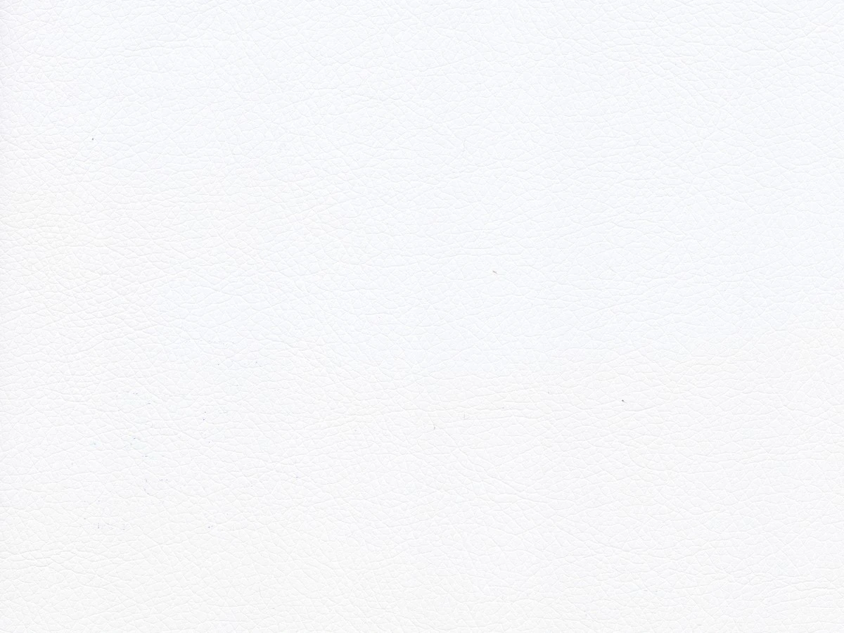 Rodeo (Родео) 14 Білий 