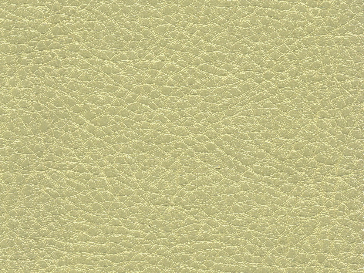 Skif (Скіф) 09 Бежевий 