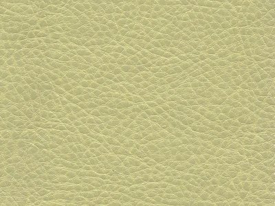 Skif (Скіф) 09 Бежевий