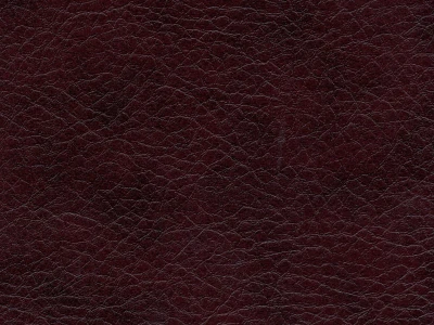 Skif (Скіф) 04 Бордовий