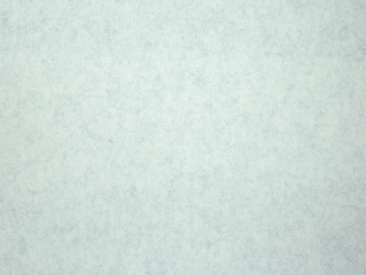 Gregor (Грегор) 10 Ice 