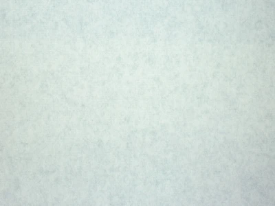 Gregor (Грегор) 10 Ice