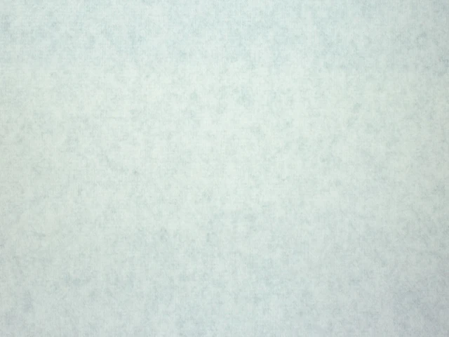 Gregor (Грегор) 10 Ice 