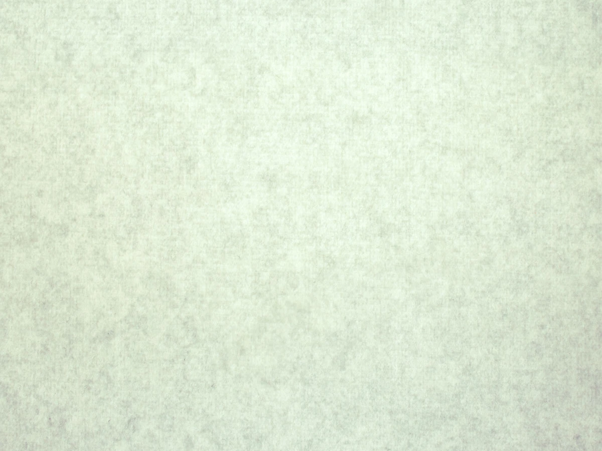 Gregor (Грегор) 11 Fog 