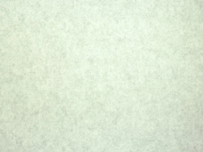 Gregor (Грегор) 11 Fog