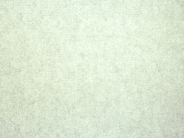 Gregor (Грегор) 11 Fog 