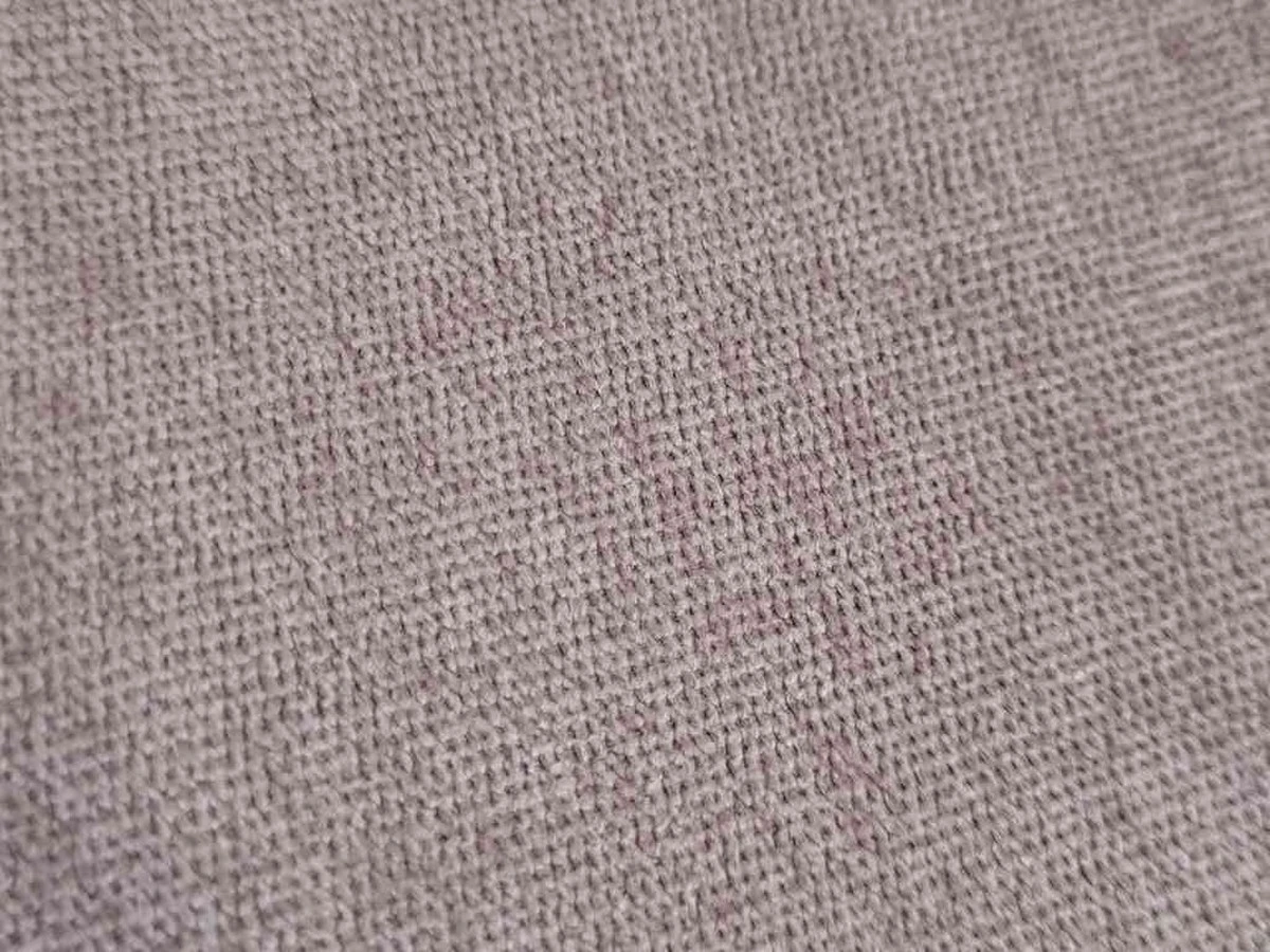 Victory (Вікторі) Dusty Rose 