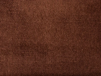 Ірис (Iris) 53 Коричневий