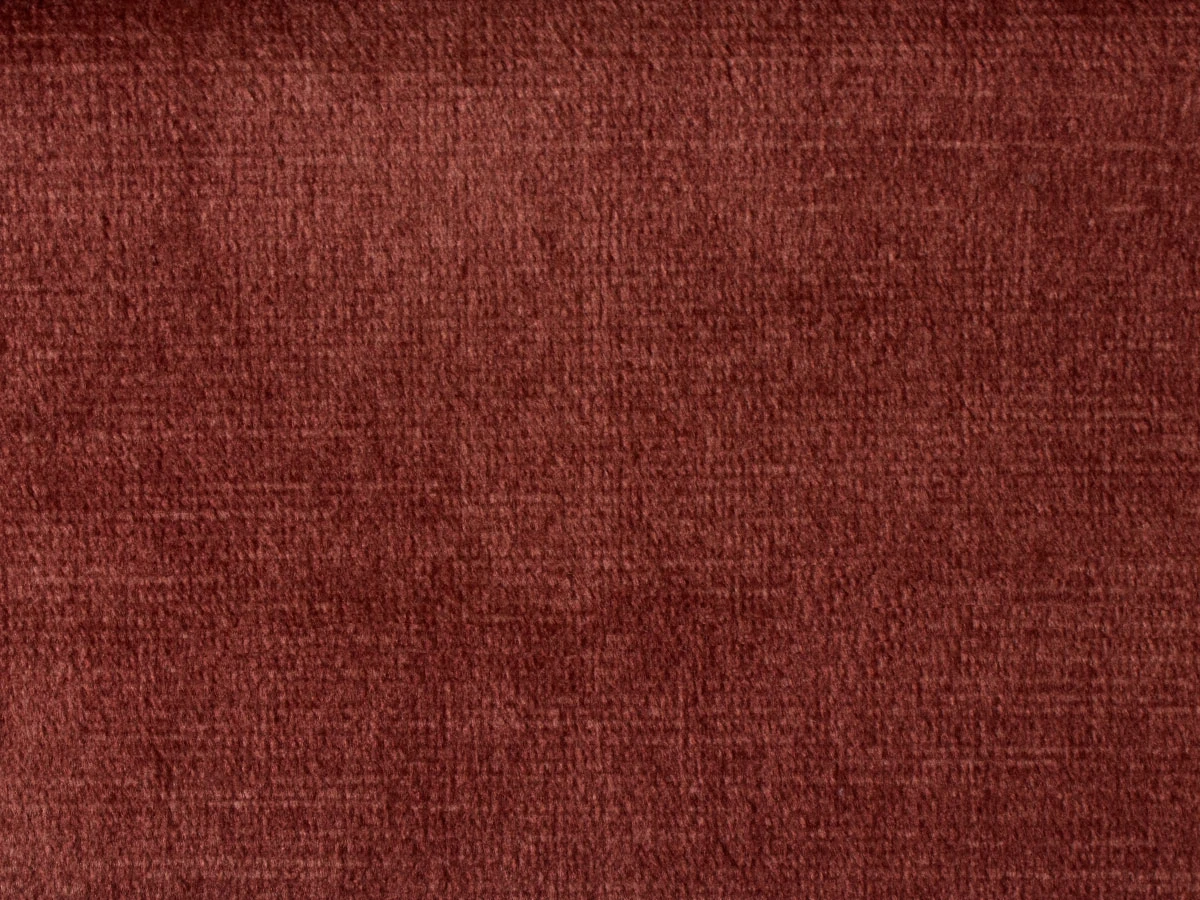 Ірис (Iris) 56 Кораловий 