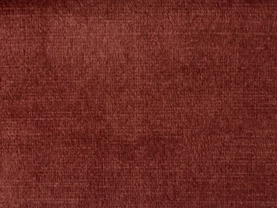 Ірис (Iris) 56 Кораловий