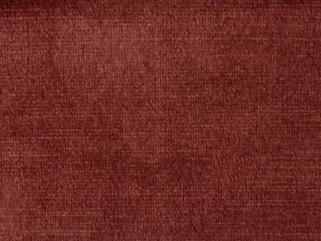 Ірис (Iris) 56 Кораловий 