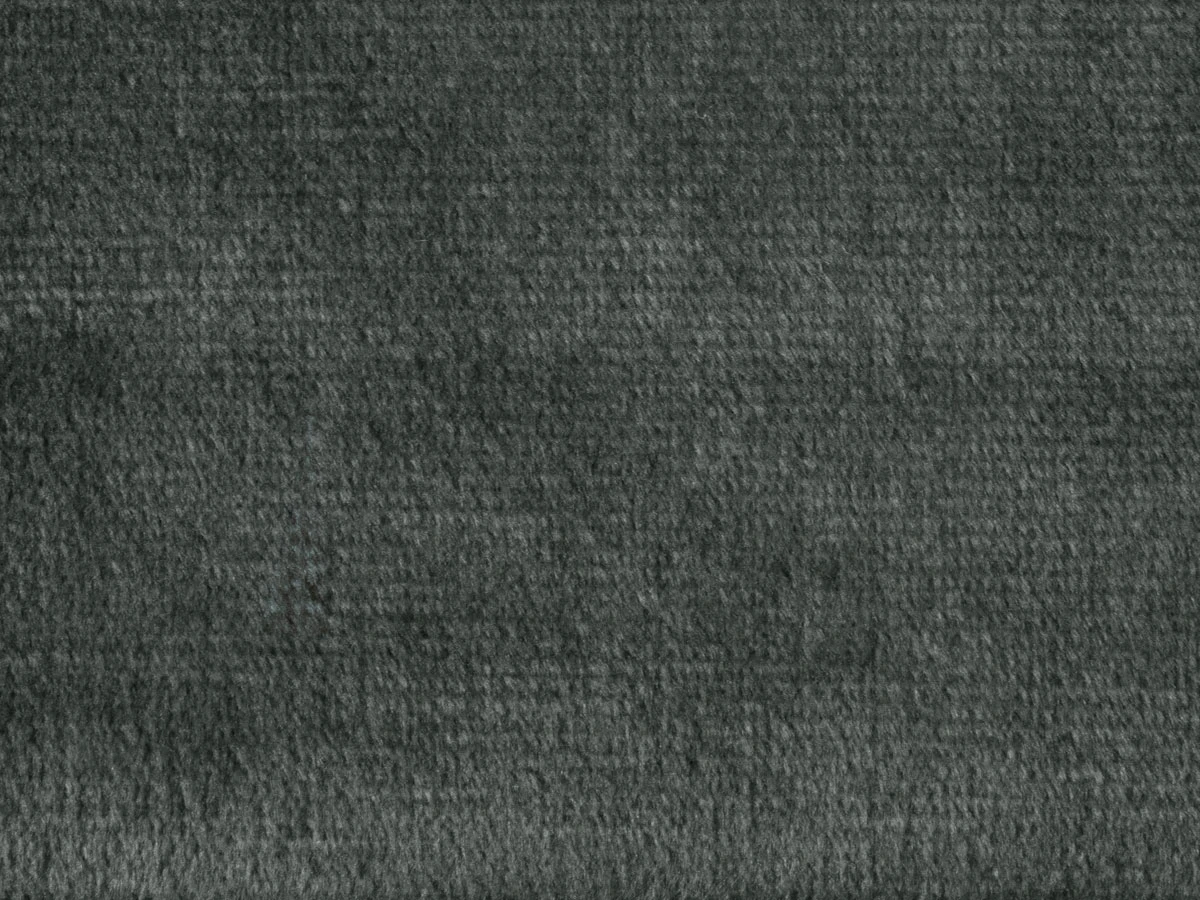 Ірис (Iris) 93 Мишачо-сірий 