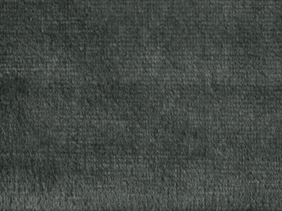 Ірис (Iris) 93 Мишачо-сірий