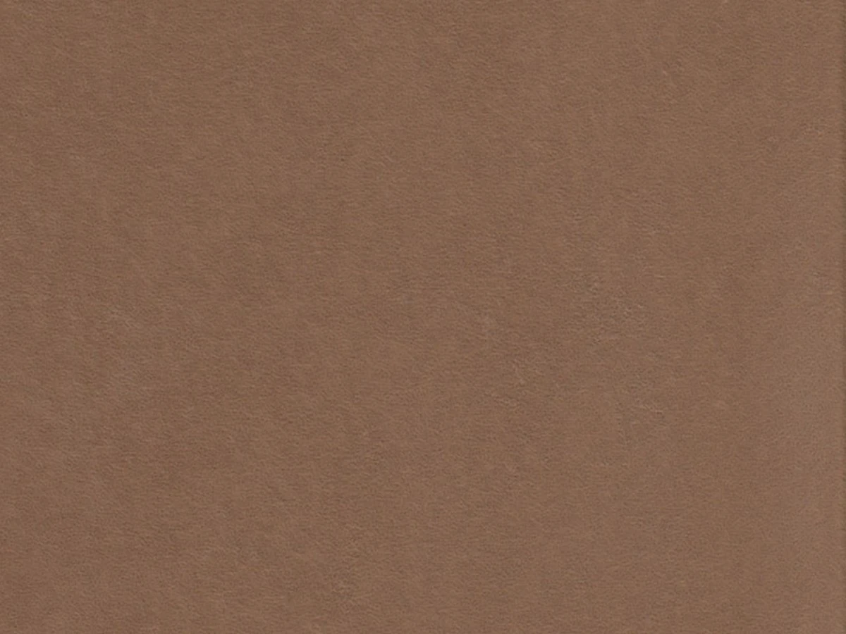 Anfora (Анфора) 306 Світло-коричневий 