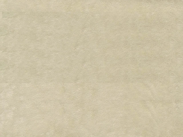 Anfora (Анфора) 308 Світло-бежевий 