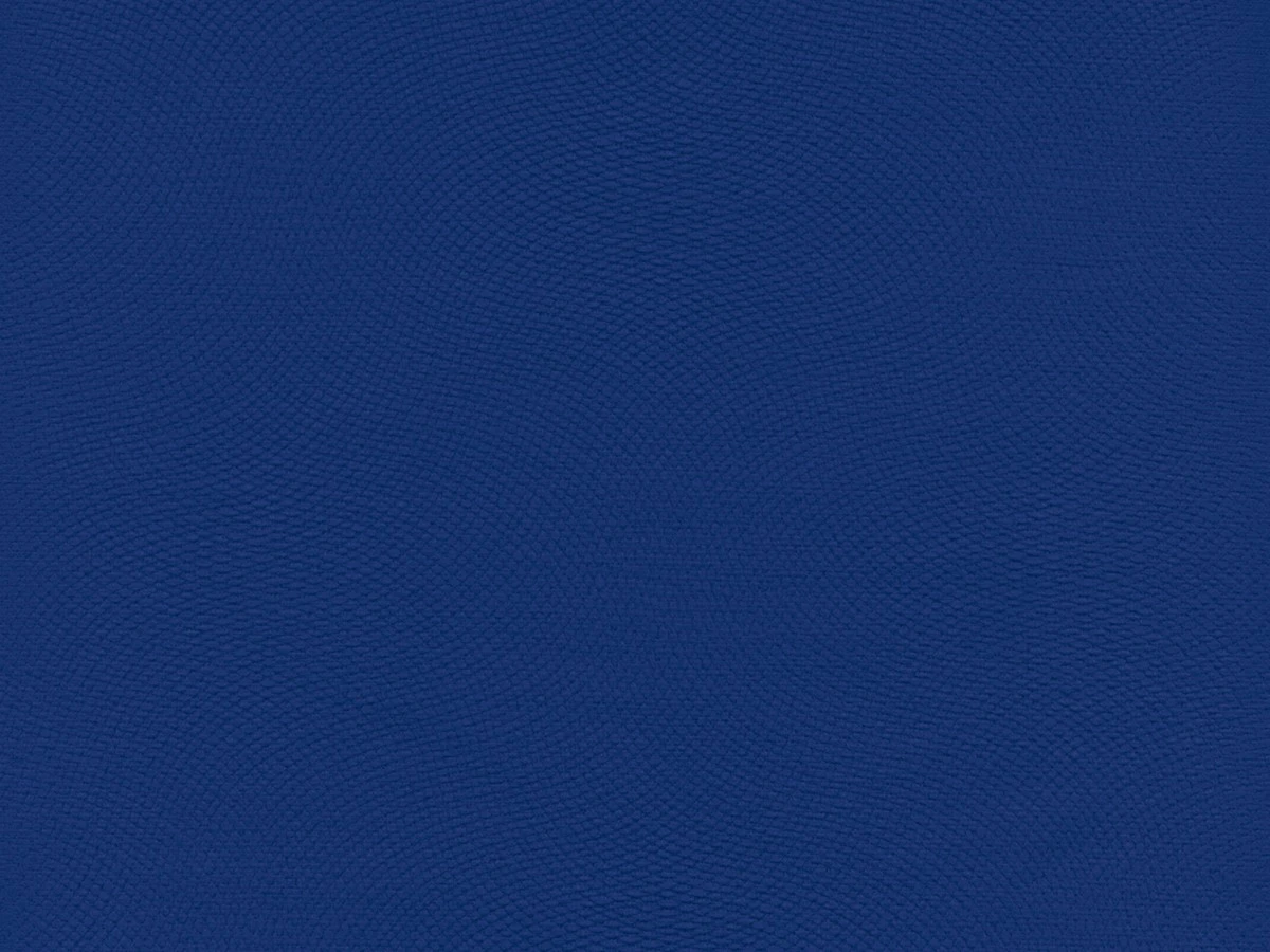 Lira (Ліра) 49 Синій 