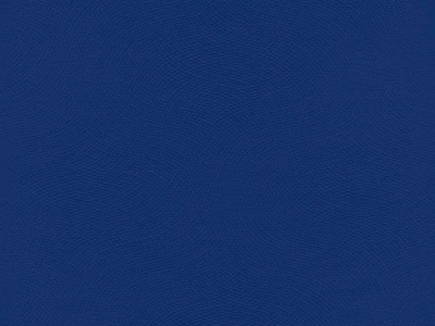 Lira (Ліра) 49 Синій