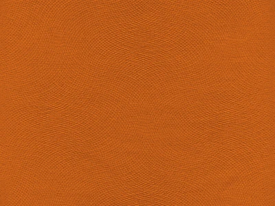 Lira (Ліра) 30 Помаранчевий