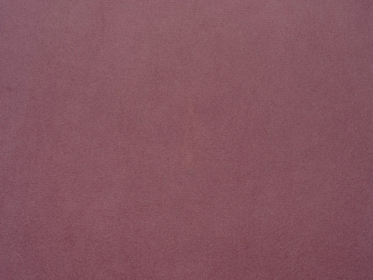 Bagheera (Багіра) 14 ROSE ICE 