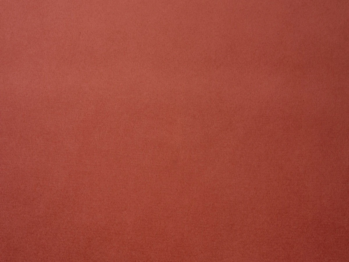 Bagheera (Багіра) 17 CLEMENTINE ROSE 