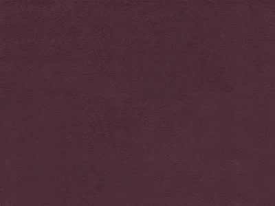 Anfora (Анфора) 489 Бордовий