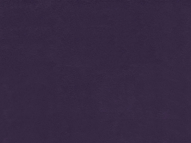 Anfora(Анфора) 498 Фіолетовий 