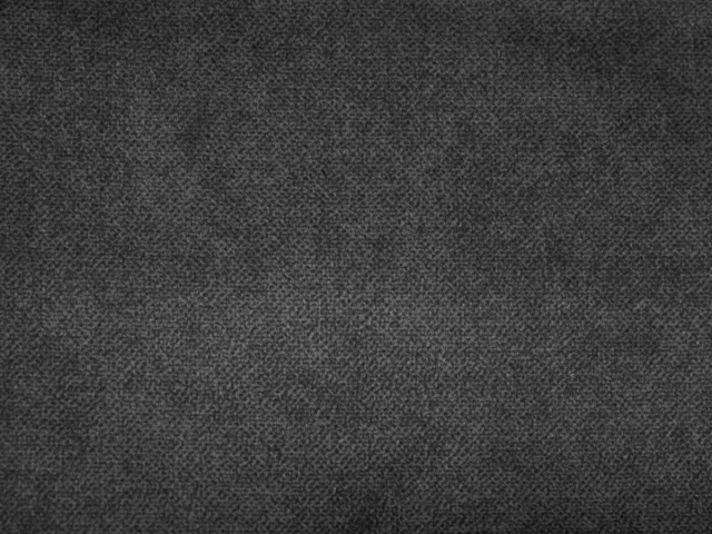 Salvia (Сальвія) 98 Темно-сірий 