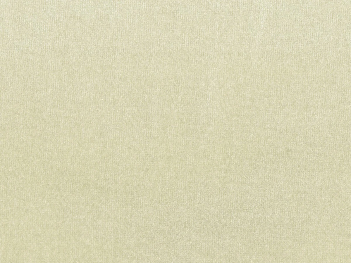 Пандора 01 Светло-бежевый 