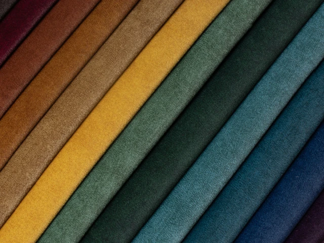 Salvia (Сальвия) 