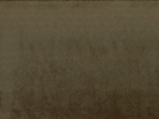 Laguna (Лагуна) 11 Темно-бежевий 