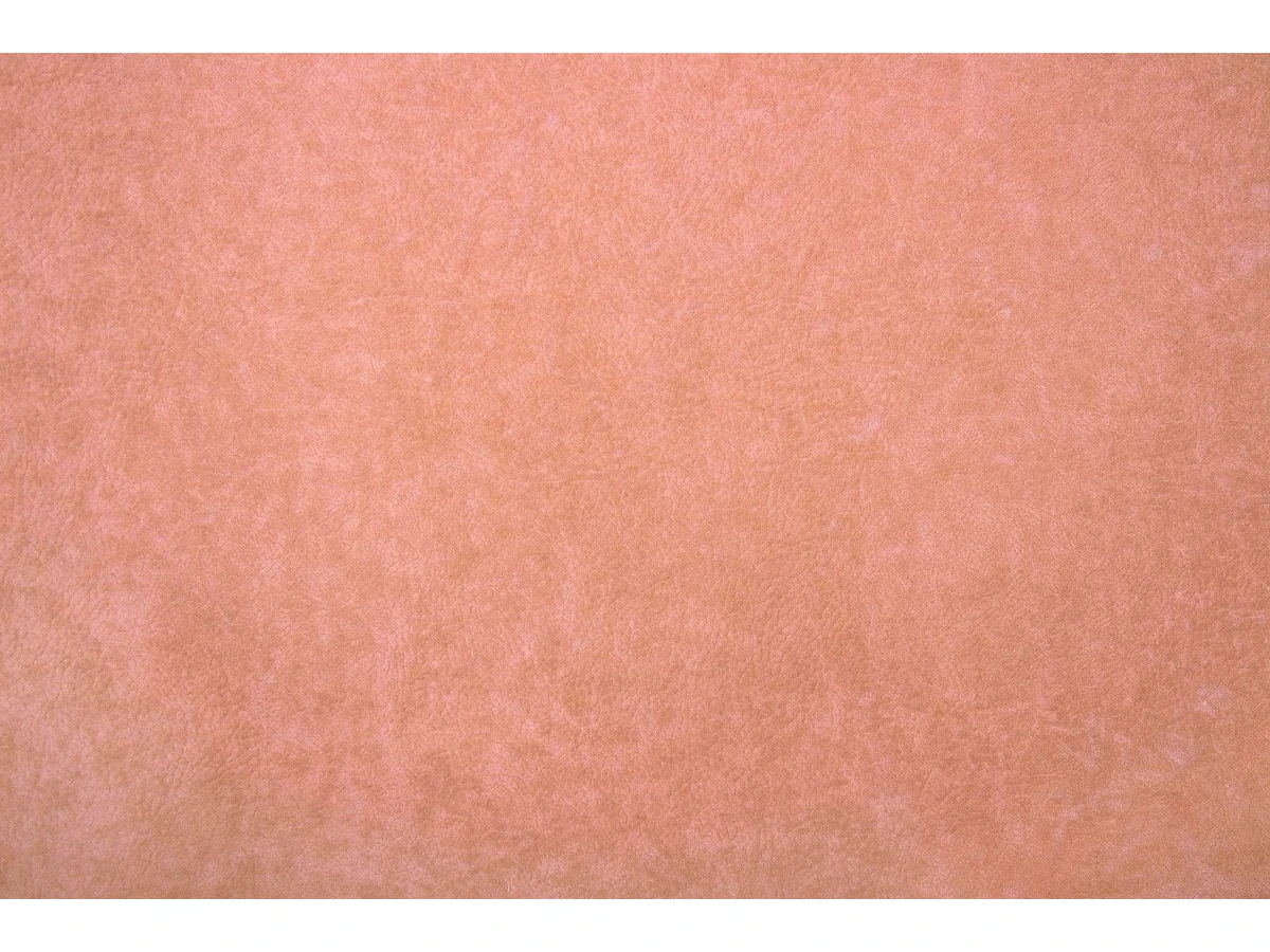 Phlox (Флокс) 8 Персиковий 