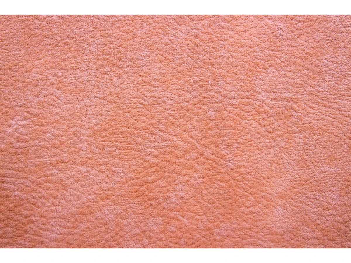 Phlox (Флокс) 8 Персиковий 