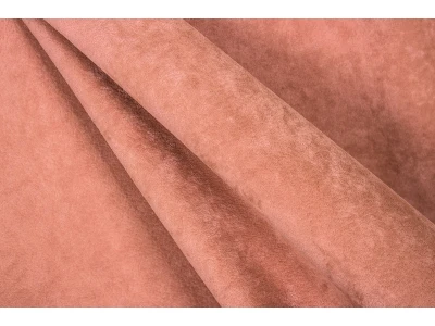 Phlox (Флокс)  8 Персиковий