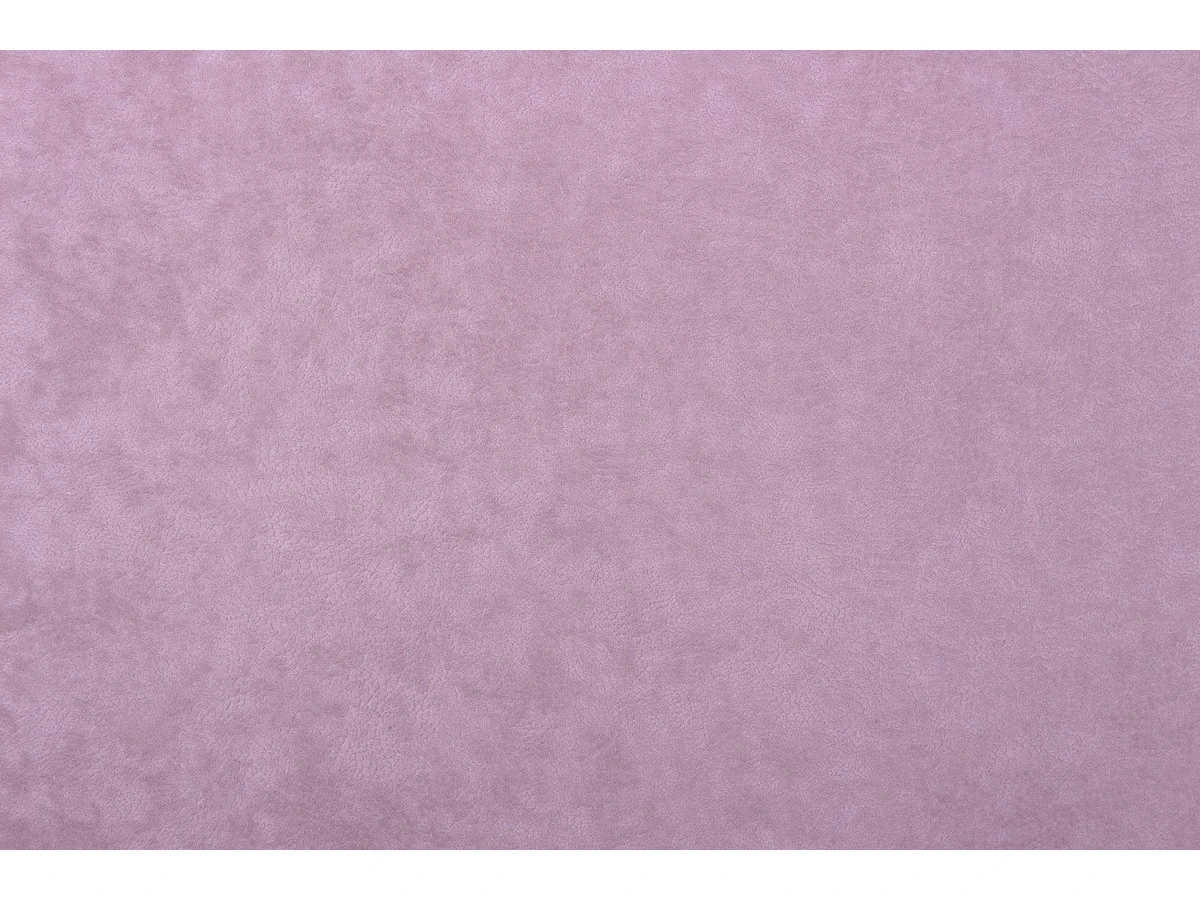 Phlox (Флокс) 10 Фіолетовий 