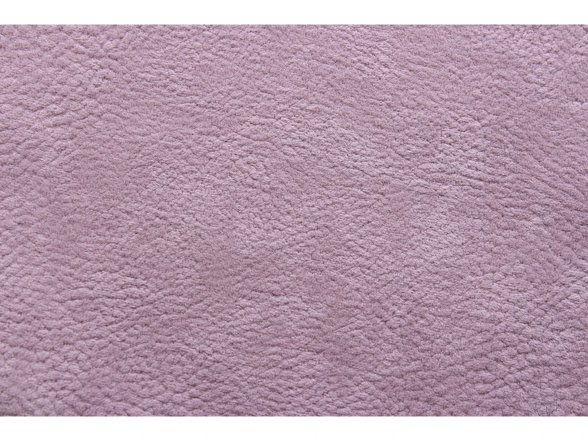 Phlox (Флокс) 10 Фіолетовий 