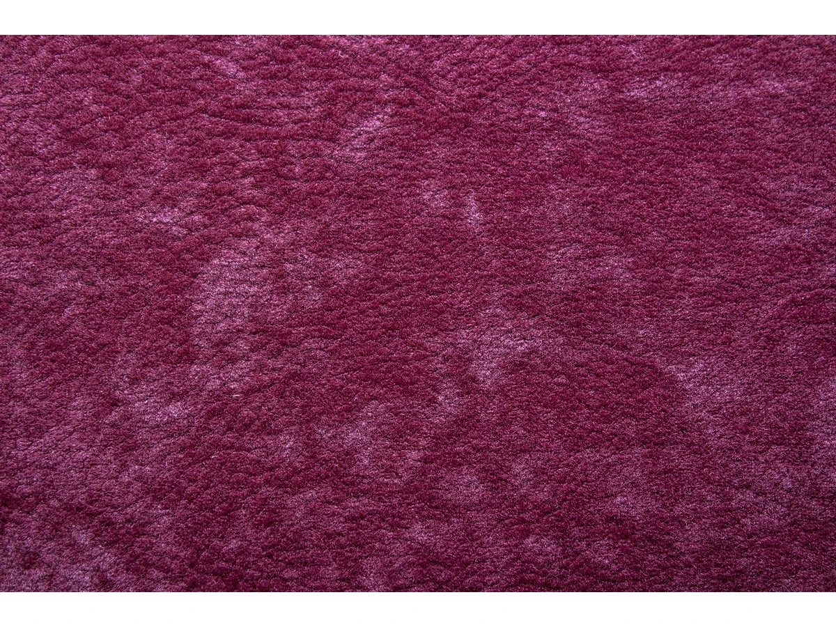 Phlox (Флокс) 11 Бордовий 