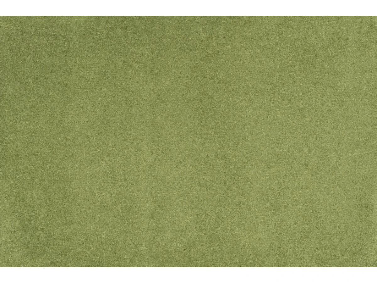 Phlox (Флокс) 12 Зелений 