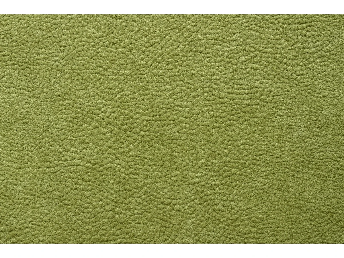 Phlox (Флокс) 12 Зелений 