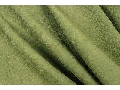 Phlox (Флокс) 12 Зелений