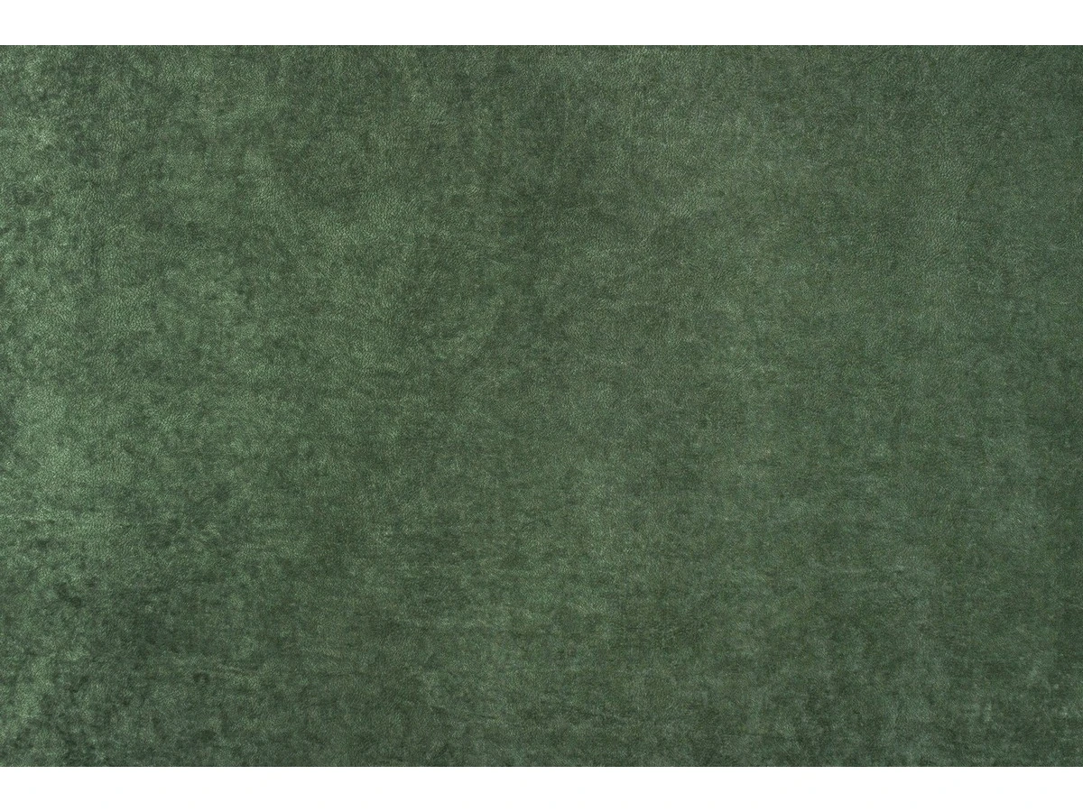 Phlox (Флокс) 13 Темно-зелений 